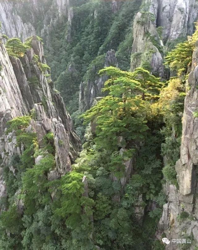 这种板子叫什么?手工用的,解决你所有疑问